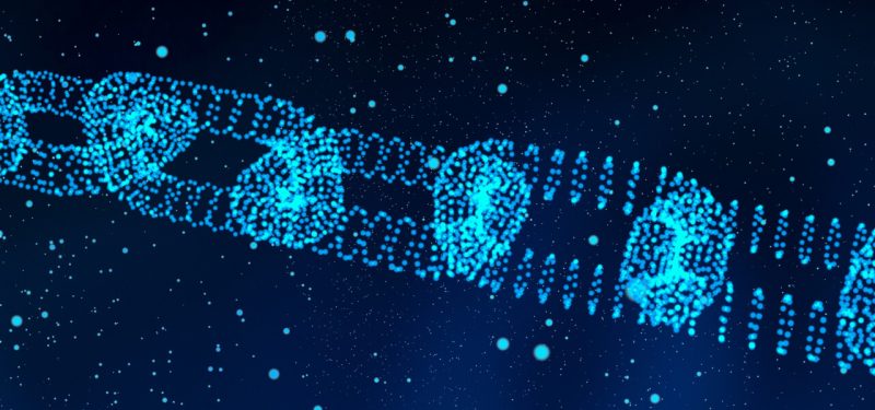 Fake USDT Transaction Script